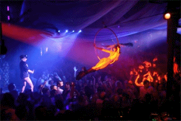 Pacha